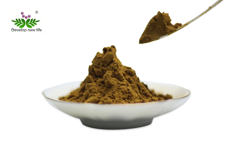 Anise Seed Extract